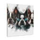 "Friendly Boston Terriers" - Canvas