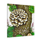 Maitake Mushroom Majesty - Canvas