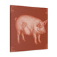 Pig in Splendour. - Canvas