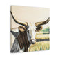 Texas Longhorns Reigning - Canvas