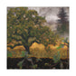 Oak Tree Fantasia - Canvas