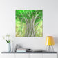 Banyan Tree Illusionist - Canvas