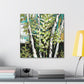 Birch Tree Grandeur - Canvas