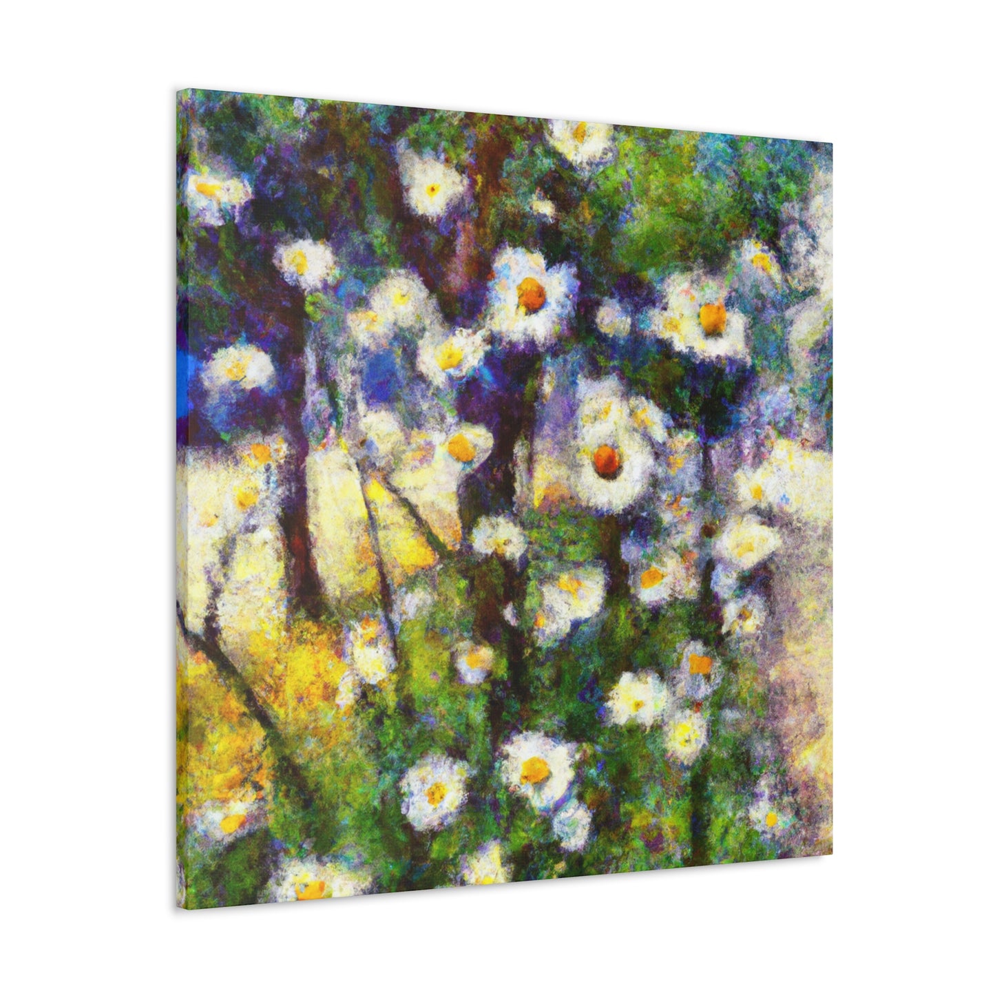 Daisy in Splendour. - Canvas