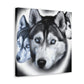 "Siberian Husky Reflection" - Canvas