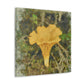 Chanterelle Impressionism - Canvas