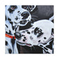 "Dalmatian on Canvas" - Canvas