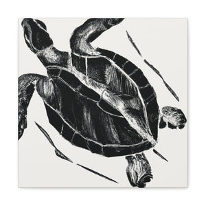 "Sea Turtle's Solitude" - Canvas