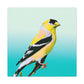 American Goldfinch Splendor - Canvas