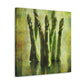 "Asparagus in Bloom" - Canvas