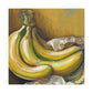 The Bananna Still Life - Canvas