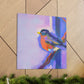 "American Robin Reflection" - Canvas