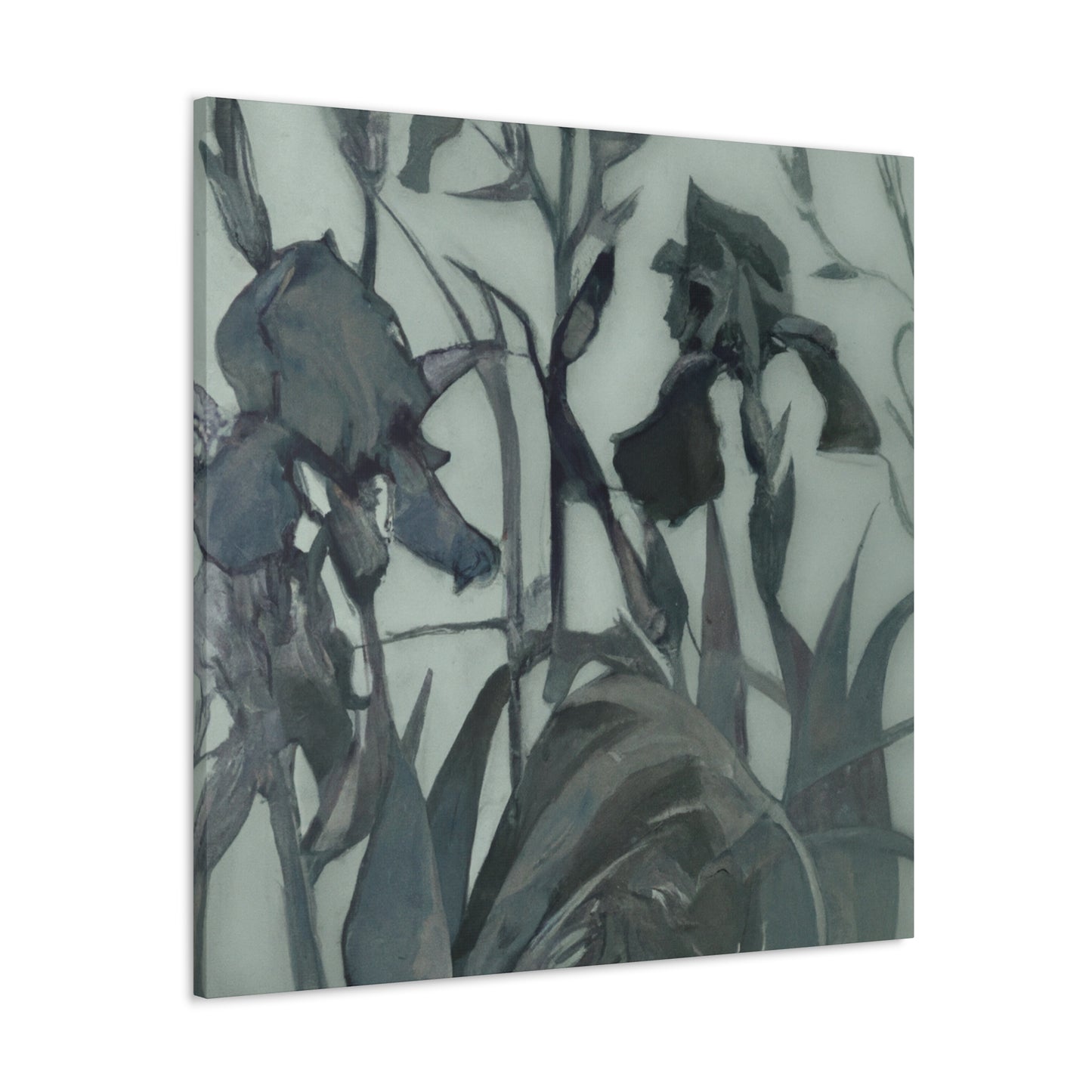 Iris in Abstraction - Canvas