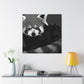 Red Panda Expressionism - Canvas