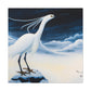 Snowy Egret Splendor - Canvas