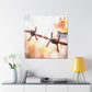 Barbed Wire Fencescape - Canvas