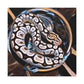 Python Ball Spirals - Canvas