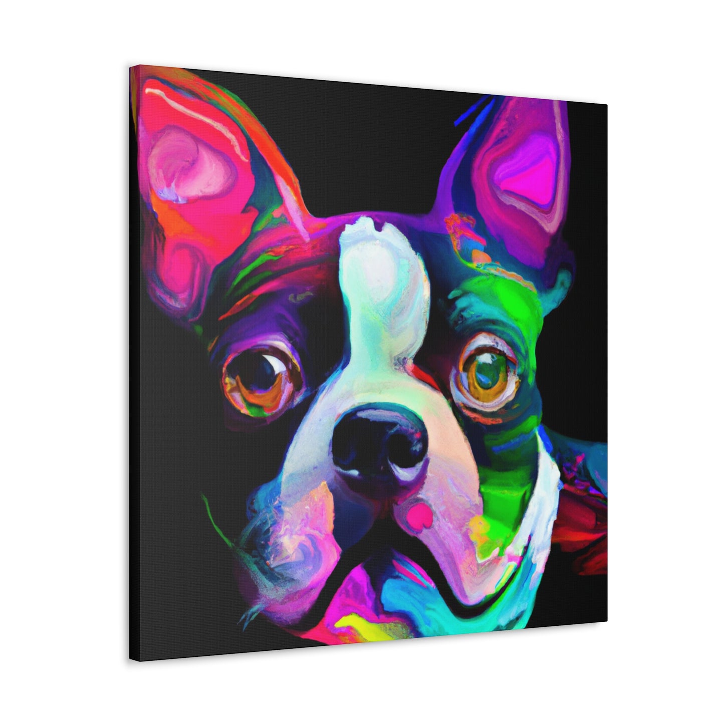 Adorable Boston Terrier - Canvas