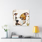 "American Bulldog Splendor" - Canvas