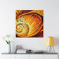 Sea Shell Symphony - Canvas