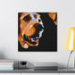 Golden Retriever Reverie - Canvas