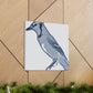 Blue Jay Symphony. - Canvas