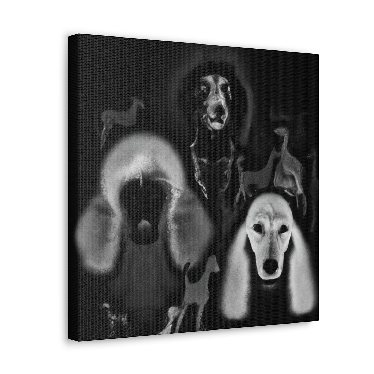 Poodle in a Dream - Canvas