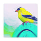 American Goldfinch Dreaming - Canvas