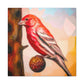 House Finch Surrealism - Canvas