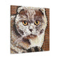 "Scottish Fold Sunrise Scene" - Canvas