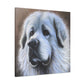 "Proud Pyrenees Portrait" - Canvas