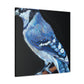 "Blue Jay in Realism" - Canvas