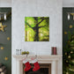 "Beech Tree, Serene Beauty" - Canvas