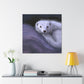 Ermine in Moonlight - Canvas