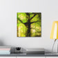 "Beech Tree, Serene Beauty" - Canvas