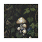 Death Cap Cascades - Canvas