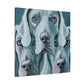 "Weimaraner Stare Majestic" - Canvas