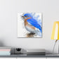 Divine Bluebird Beauty - Canvas