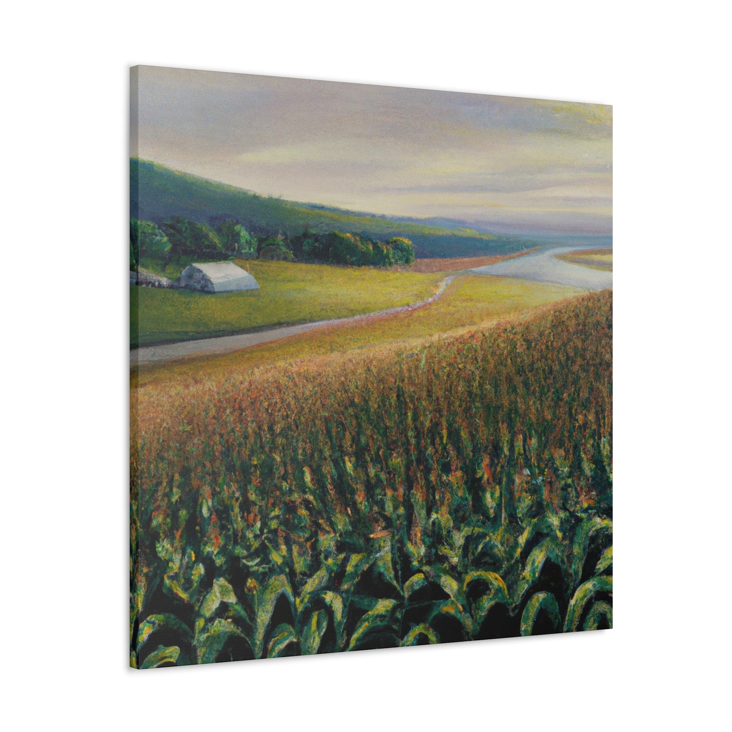 "Corn Field Splendor" - Canvas