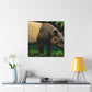 "Malayan Tapir, Impressionist" - Canvas