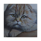 Scottish Folds Purrfection - Canvas