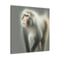 "Majestic Japanese Macaque" - Canvas