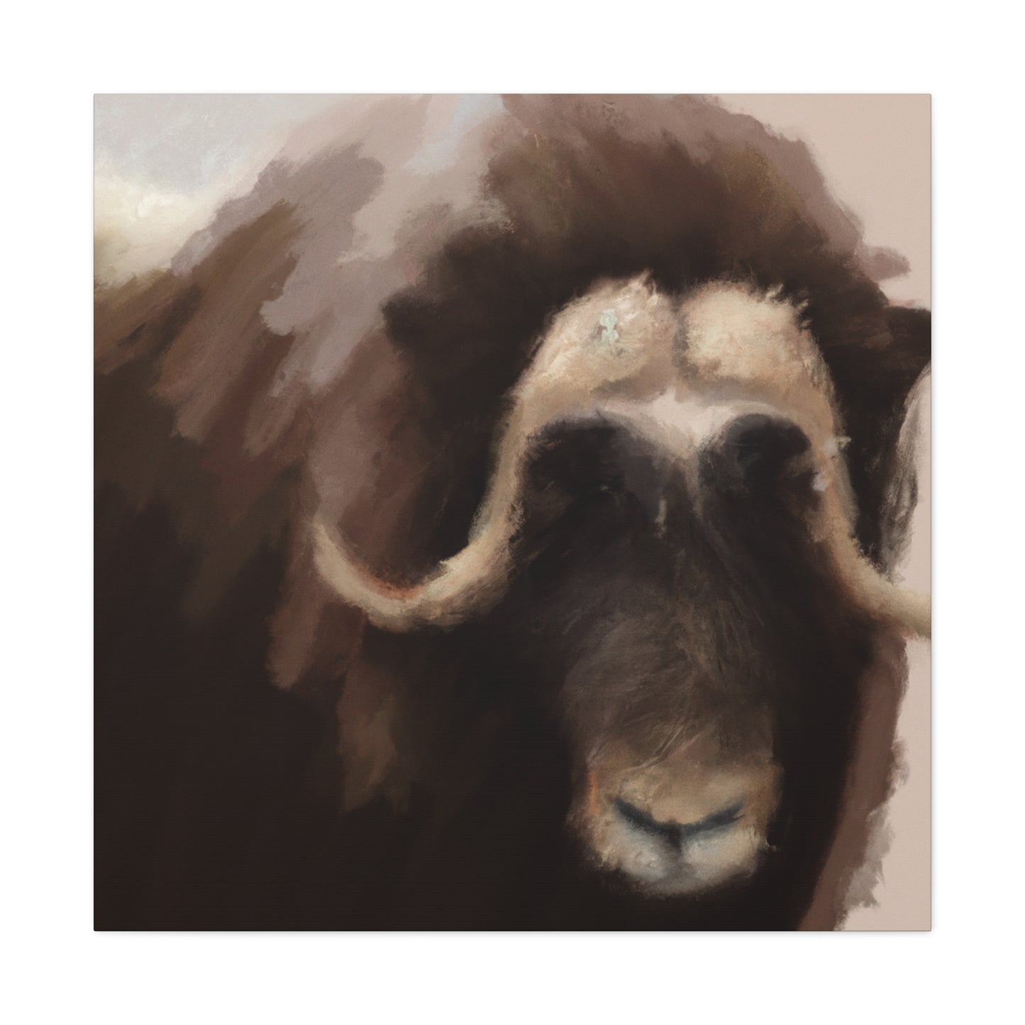 Musk Ox Majesty - Canvas