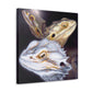 Bearded Dragon Beauty - Canvas