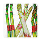 "Spring Asparagus Bouquet" - Canvas