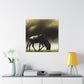 Wildebeest In Flux - Canvas