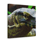 Komodo Dragon Reflection - Canvas