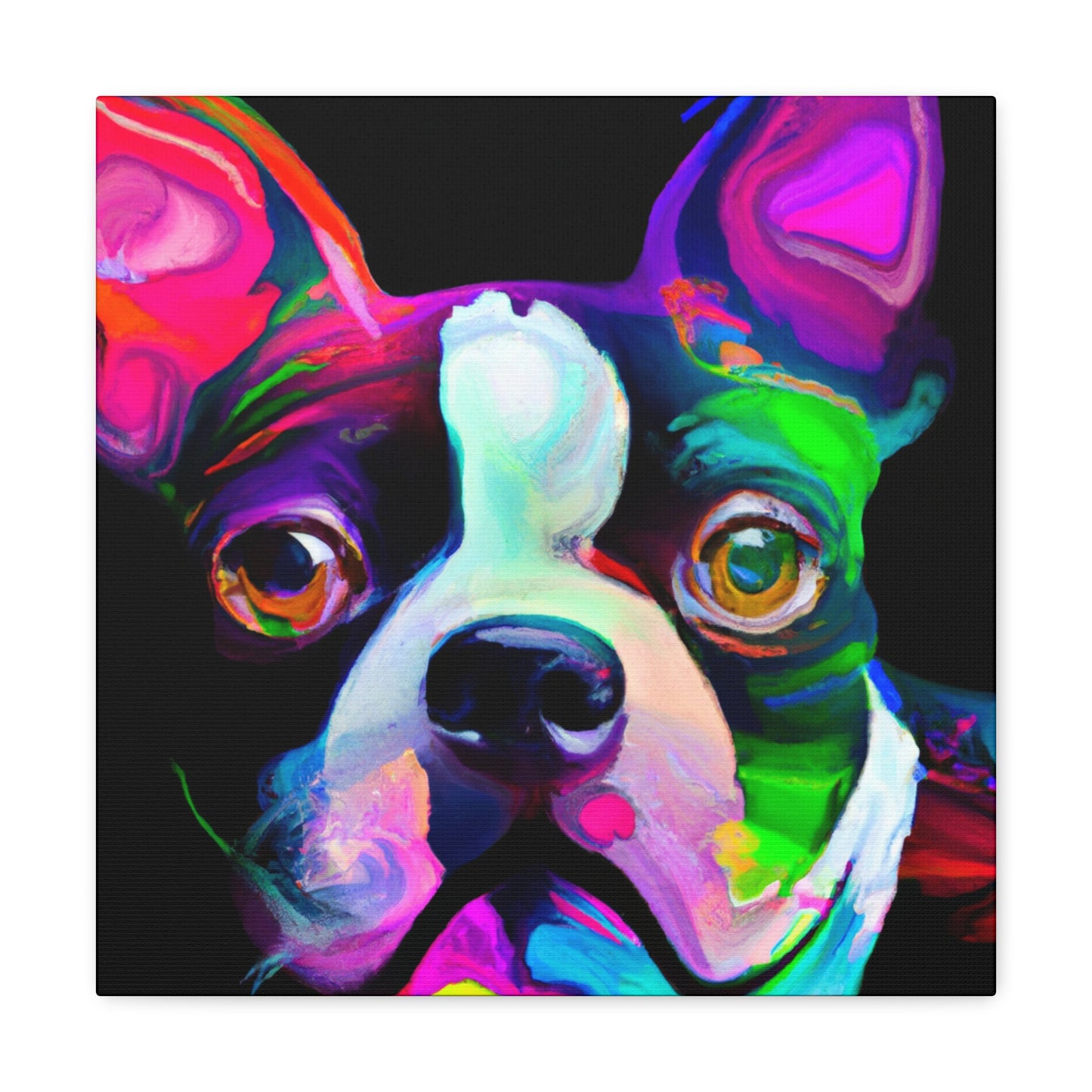 Adorable Boston Terrier - Canvas