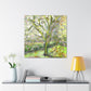 "Apple Tree In Bloom" - Canvas