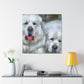 "Great Pyrenees Impressionism" - Canvas